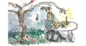 Newton and the apple