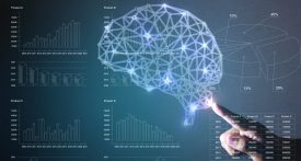brain representation with hand